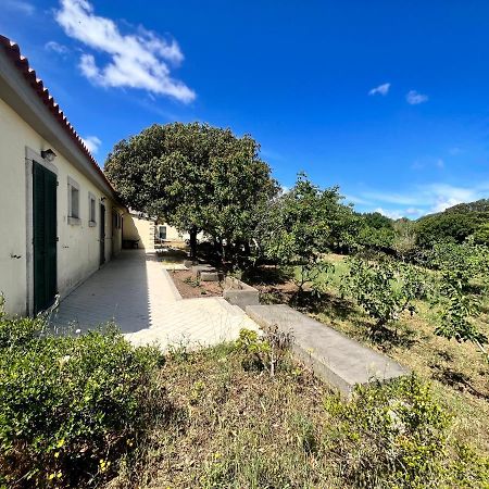La Striscia Larga Bed & Breakfast Сан Паскуале Екстериор снимка