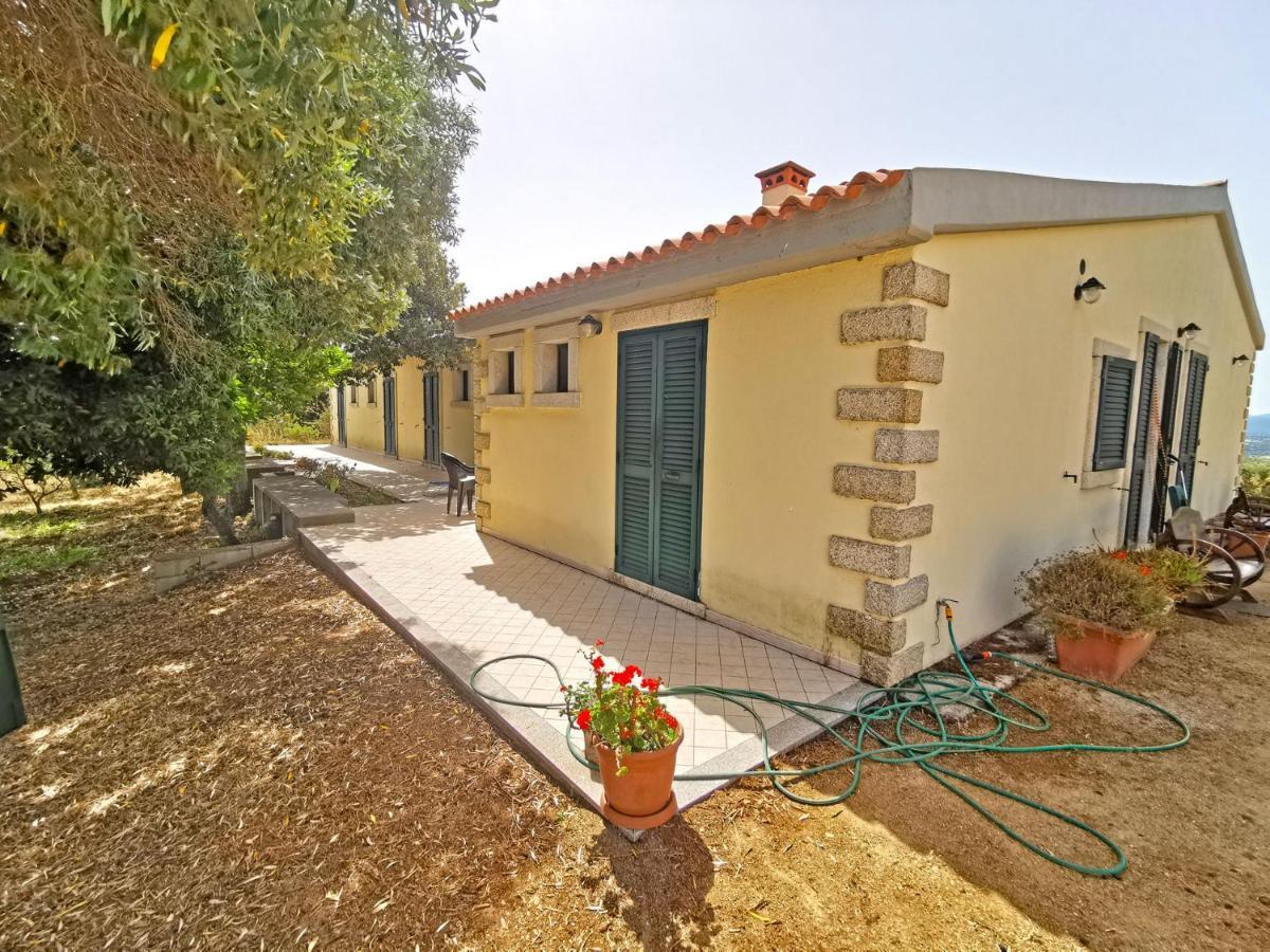 La Striscia Larga Bed & Breakfast Сан Паскуале Екстериор снимка