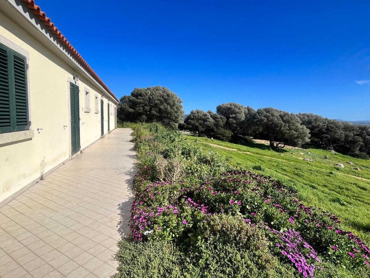 La Striscia Larga Bed & Breakfast Сан Паскуале Екстериор снимка