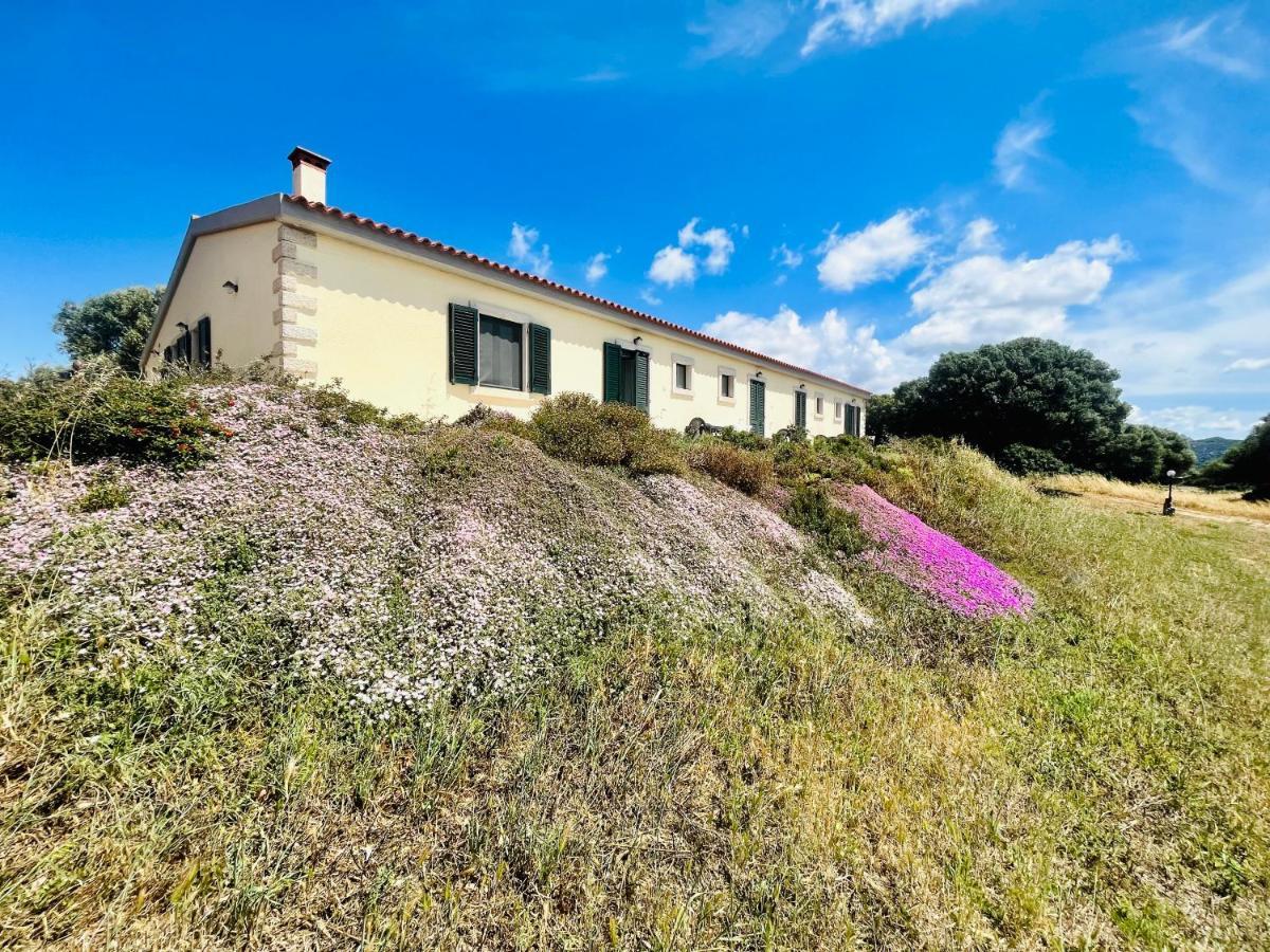 La Striscia Larga Bed & Breakfast Сан Паскуале Екстериор снимка